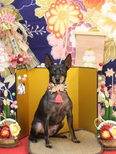 20240121マックスくん